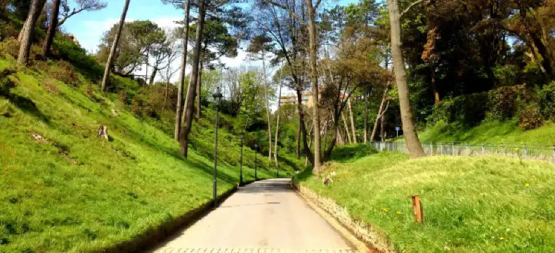 Hotels near Boscombe