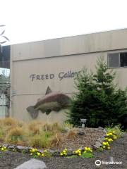 Freed Gallery