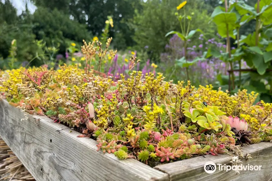 Foundation Hortus Alkmaar