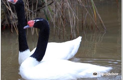 Tilgate Nature Centre