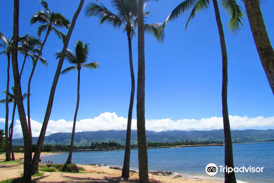 Waialua Bay