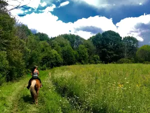 Silver Creek Metro Park