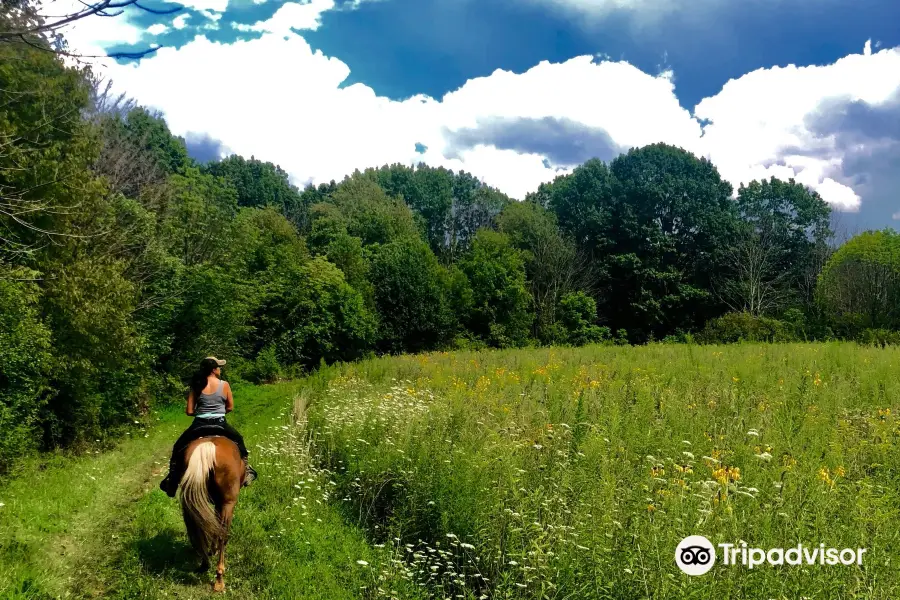 Silver Creek Metro Park