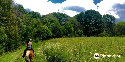 Silver Creek Metro Park