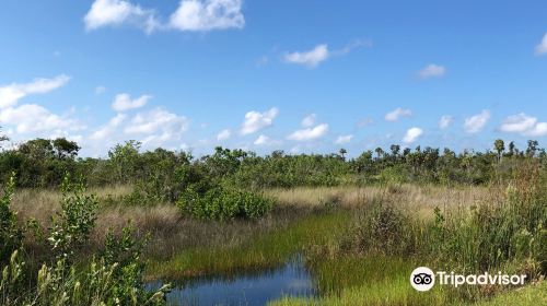 Ten Thousand Islands  National Wildlife Refuge