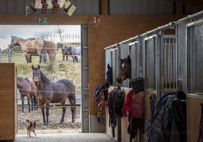 Buchwald - Ranch, Ines Kawik