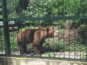 Gradina Zoologica Birlad