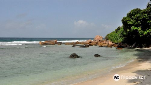 Anse Banane