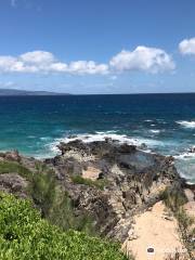 Kapalua Coastal Trail