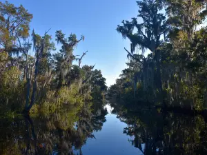 Airboat Adventures