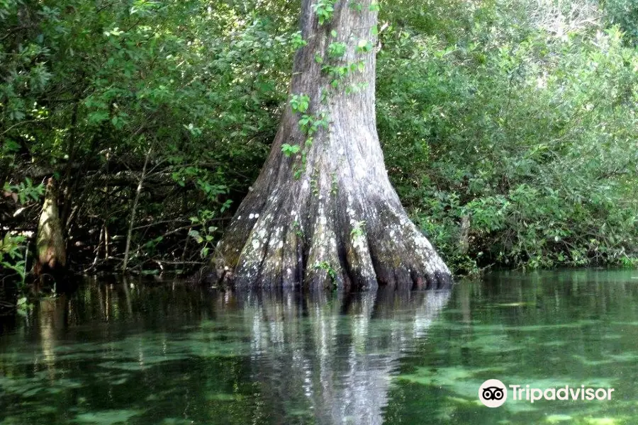 Florida Canoe