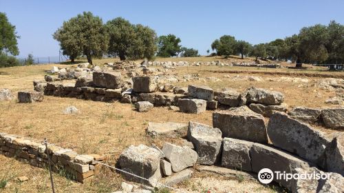 Sanctuary of Poseidon