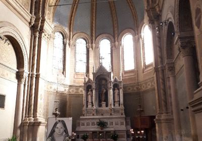 Chiesa del Santissimo Redentore (Duomo di Lonigo)