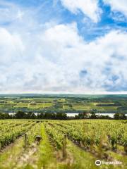 Seneca Lake Wine Trail