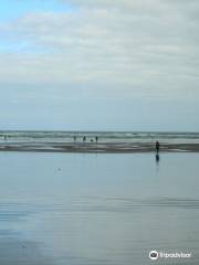 Sunset Beach State Recreation Site