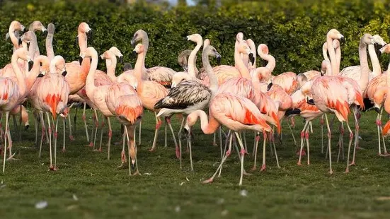 Seaview Wildlife Encounter