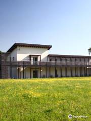 National Etruscan Museum