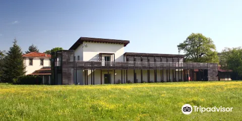 Museo Nazionale Etrusco Pompeo Aria