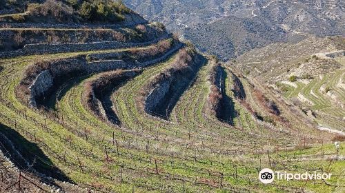 Tsiakkas Winery