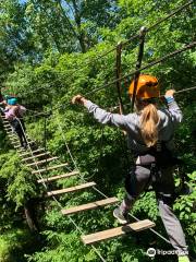 Treetop Eco-Adventure Park