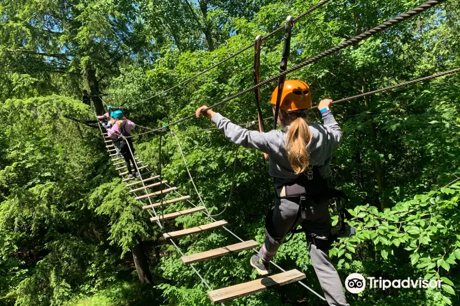 Treetop Eco-Adventure Park