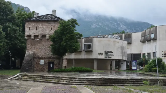 Vratsa Historical Museum