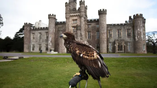 Wings Of Wales