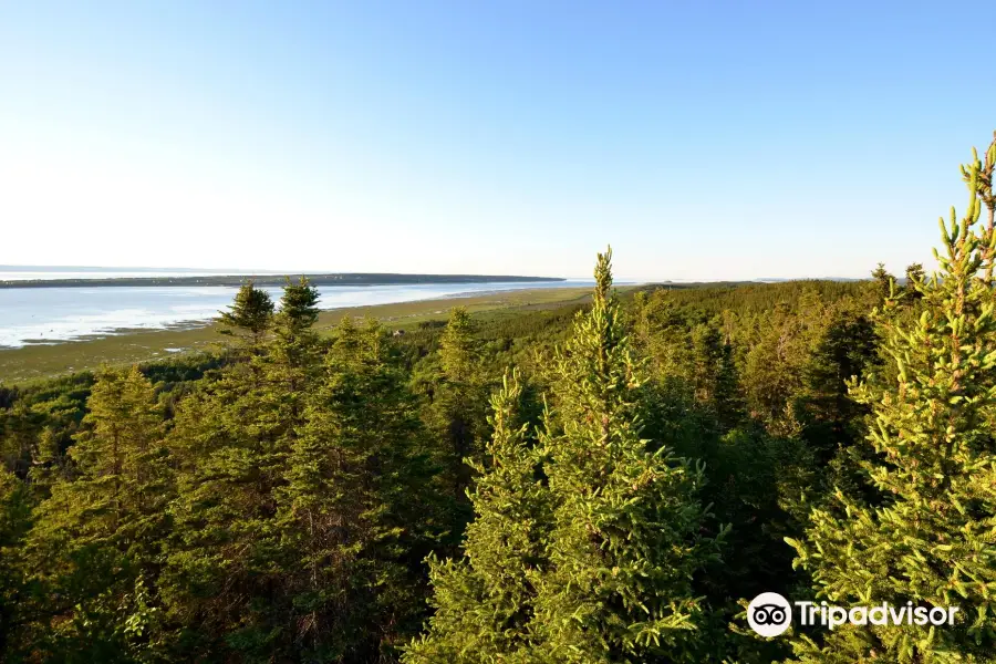 Kiskotuk Coastal Park