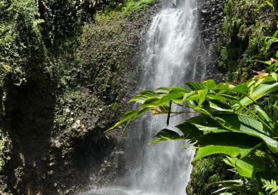 Middleham Falls Dominica