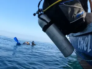 Chelonia Dive Center