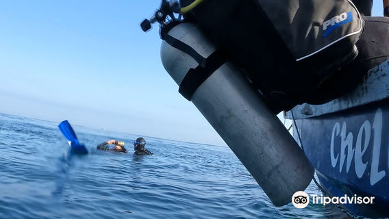 Chelonia Dive Center