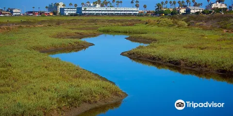 Tijuana River National Estuarine Research Reserve