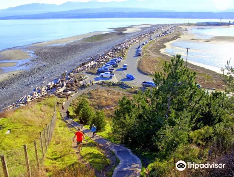 Goose Spit Park