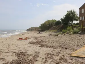 Plage de Prunete