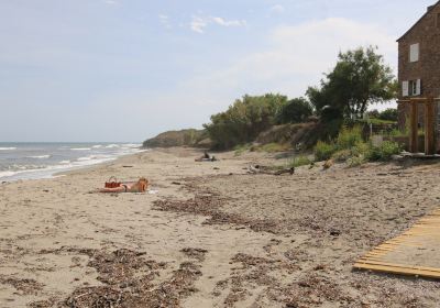 Plage de Prunete