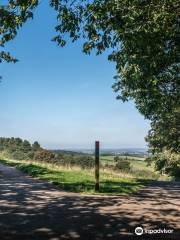 Hartshill Hayes Country Park