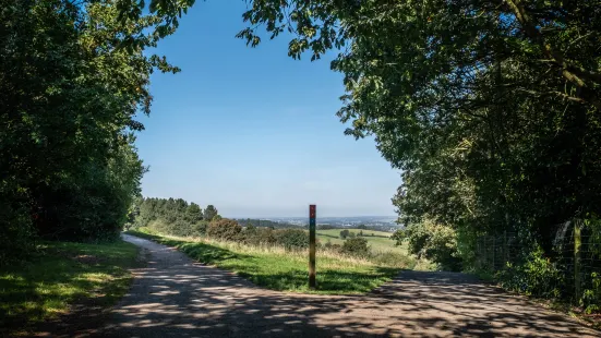 Hartshill Hayes Country Park