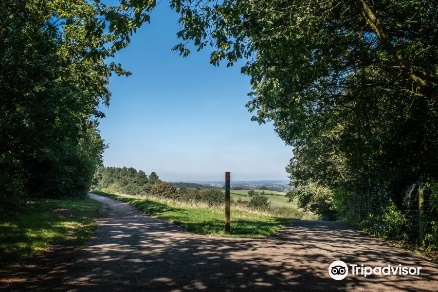 Hartshill Hayes Country Park