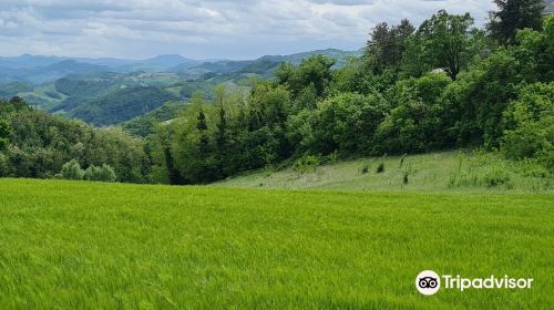 Montefeltro Vedute Rinascimentali