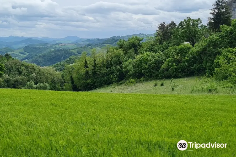 Montefeltro Vedute Rinascimentali