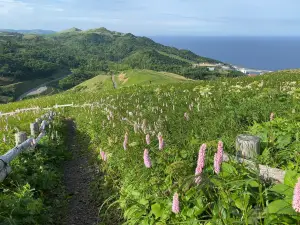 桃岩展望台