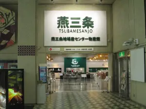 Roadside Station TSUBAMESANJO Regional Products Center
