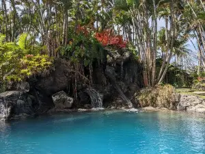 Na 'Aina Kai Botanical Gardens & Sculpture Park