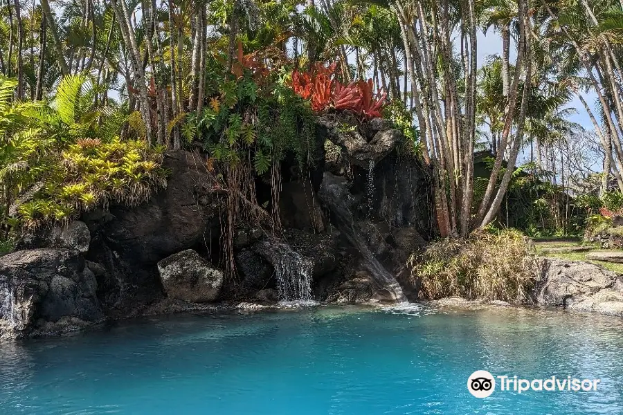 Na 'Aina Kai Botanical Gardens & Sculpture Park