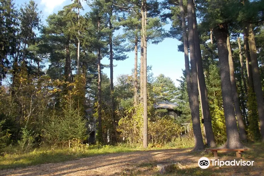 Asahikawa City Foreign Tree Species Sample Forest