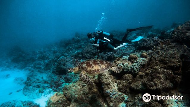 Seaman Diving Center