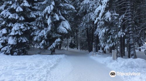 Davos High Promenade Walk