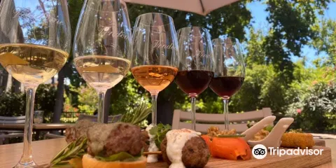 Kaapse Familie Wingerde