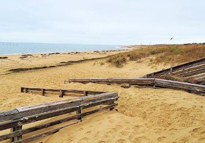 First Landing State Park