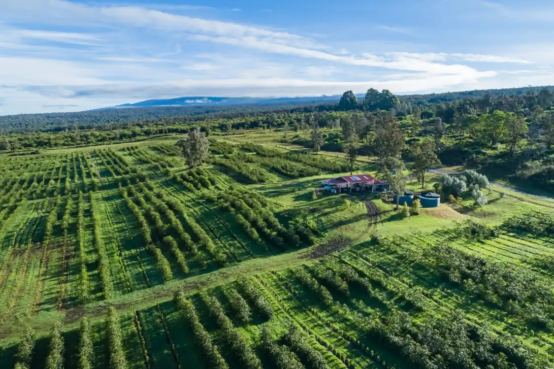 Отели рядом с достопримечательностью «Greenwell Coffee Farm»